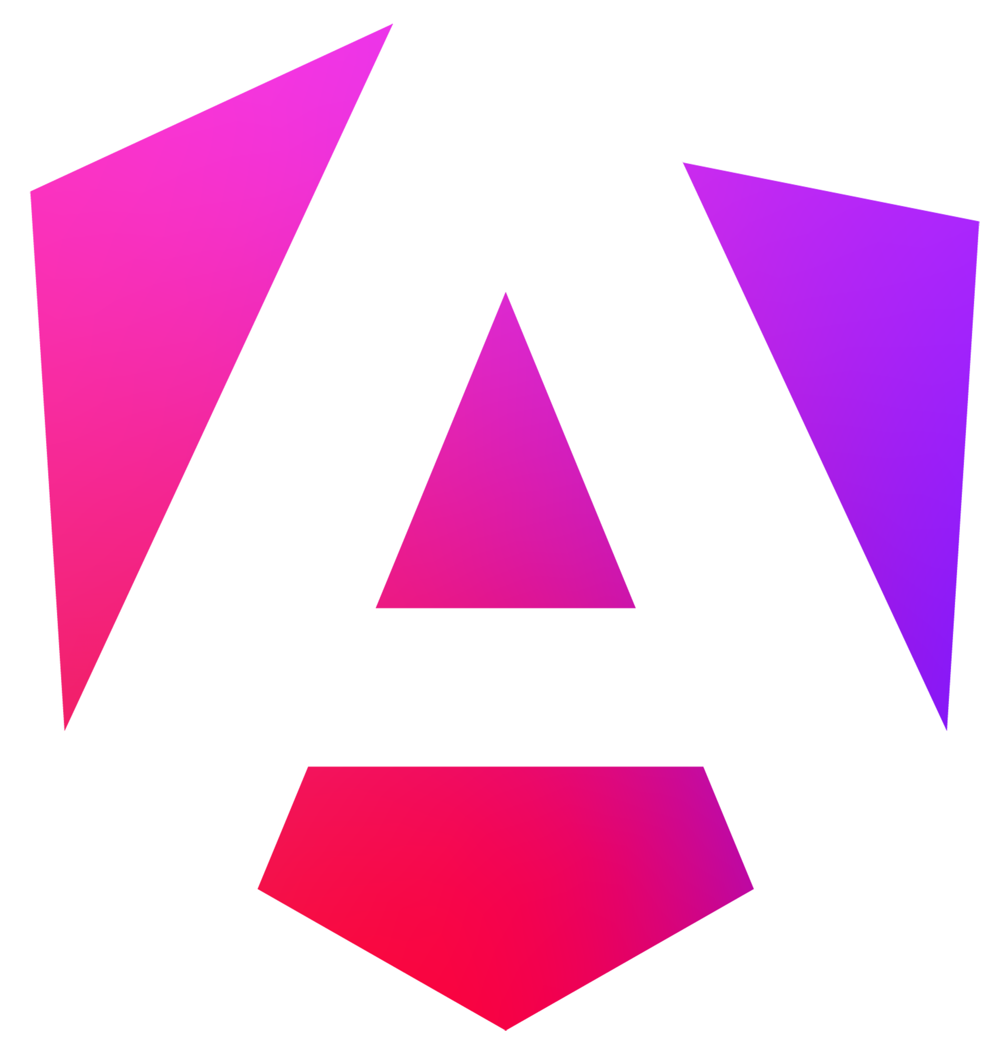 NG Poland logo white